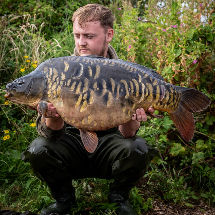 Best Baits to Use During Autumn Fishing and Tactics