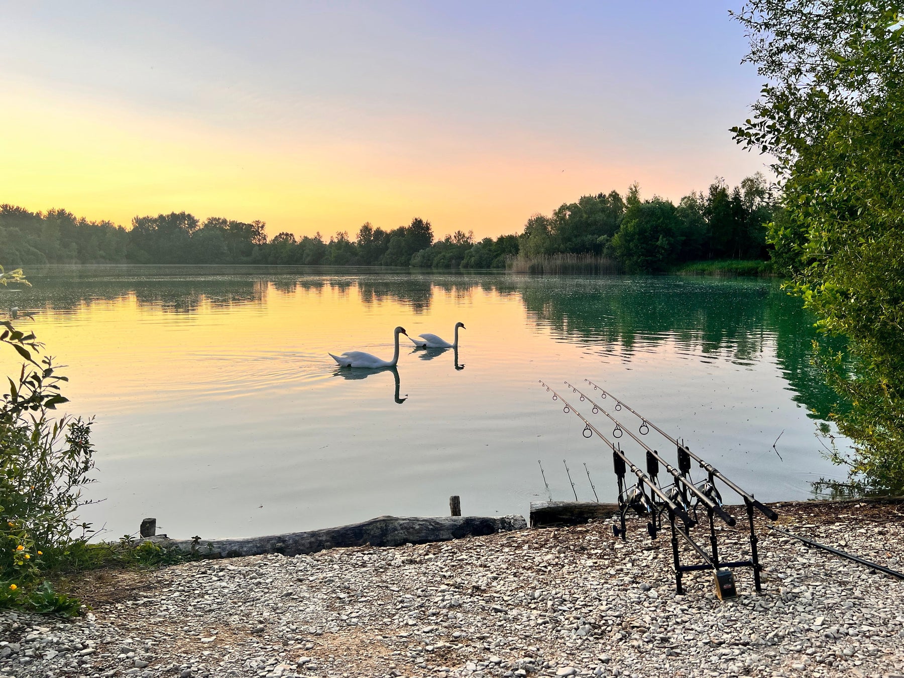 How to Use Particle Bait to Catch More Fish This Summer