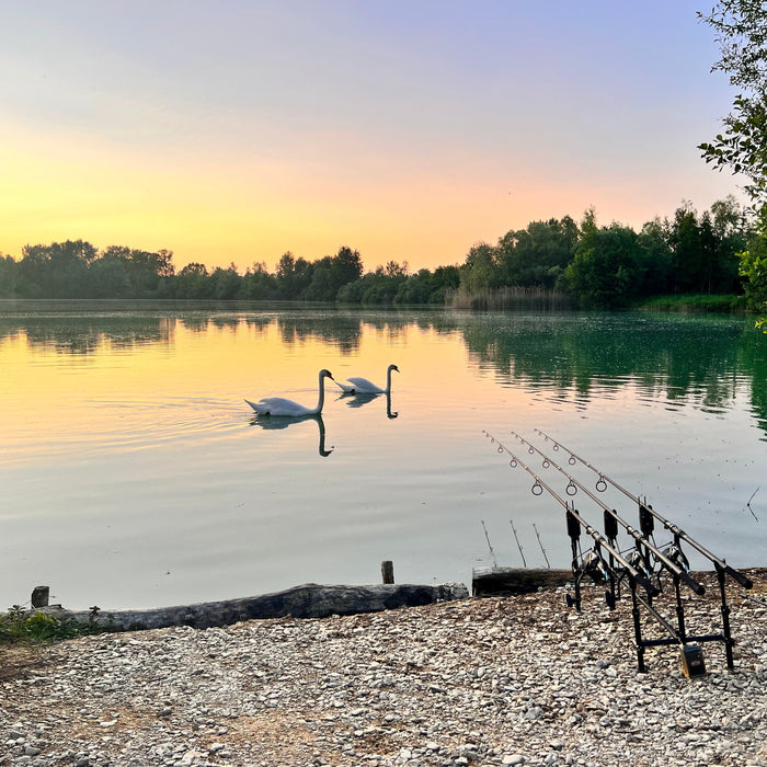 How to Use Particle Bait to Catch More Fish This Summer