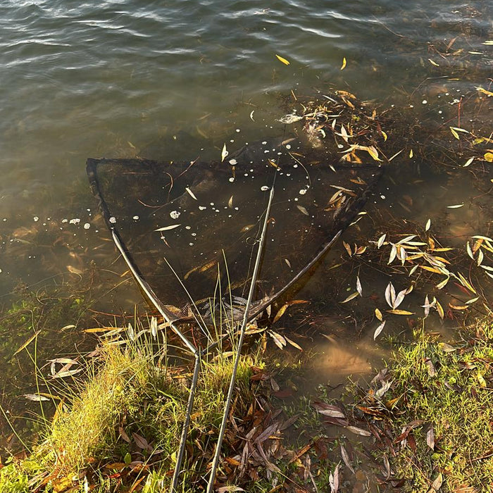 Winter Wonder - Fishing In Winter