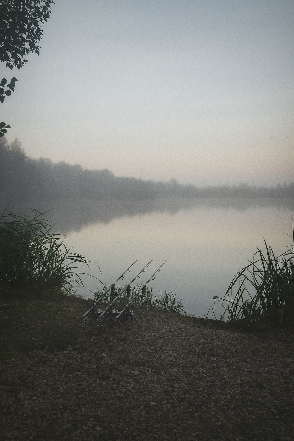 Winter Carp Fishing: Keep Catching When The Temperature Drops
