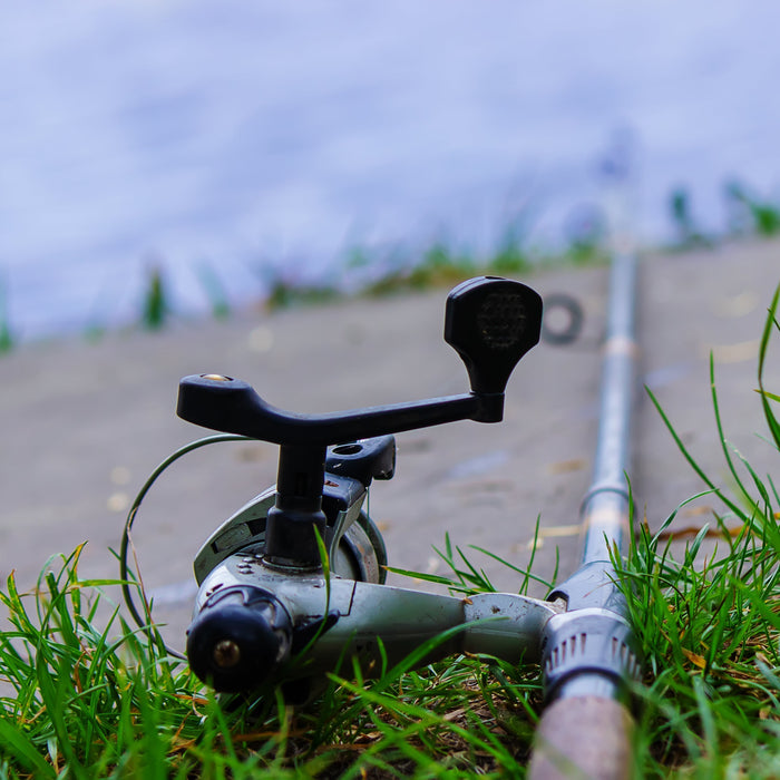 Choosing the Right Fishing Bait – A Guide to Targeting Different Species