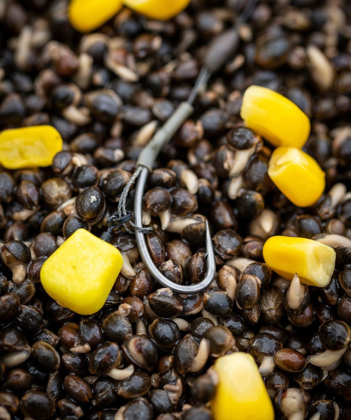 Fishing With Particles