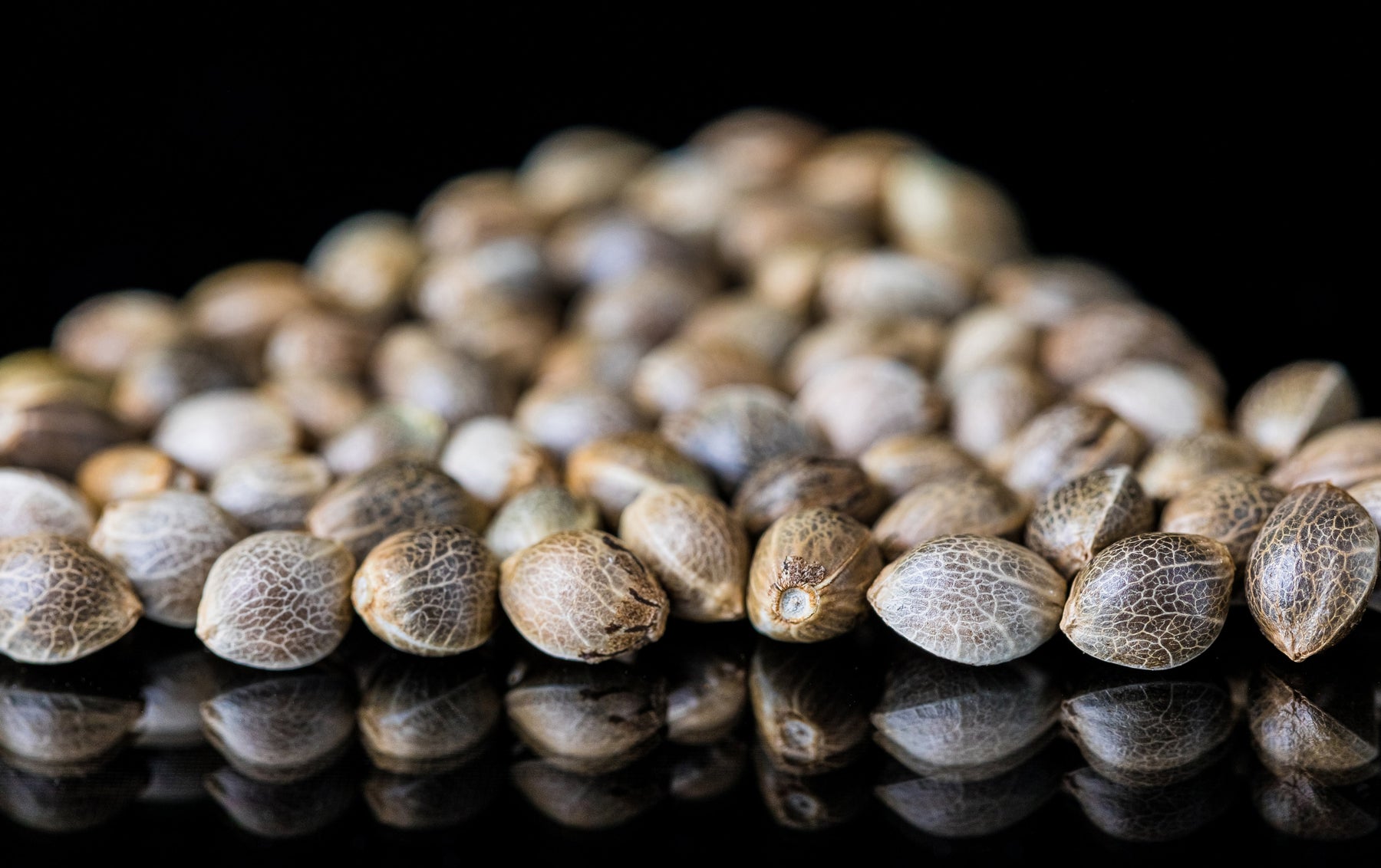 Boost Your Catch With Hemp Seed
