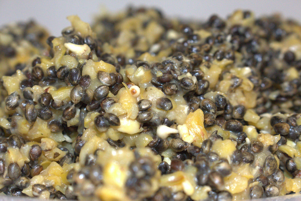 Apex Hemp and Cut Corn cooked hempseed and carp particle bait made in the UK for fishing