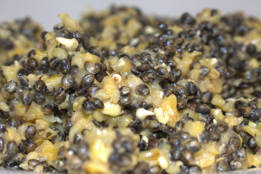 Apex Hemp and Cut Corn cooked hempseed and carp particle bait made in the UK for fishing