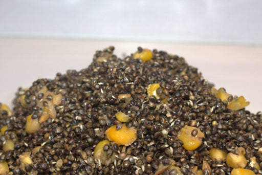Apex Hemp and Maize cooked hempseed and maize carp particle bait made in-house in the UK for fishing