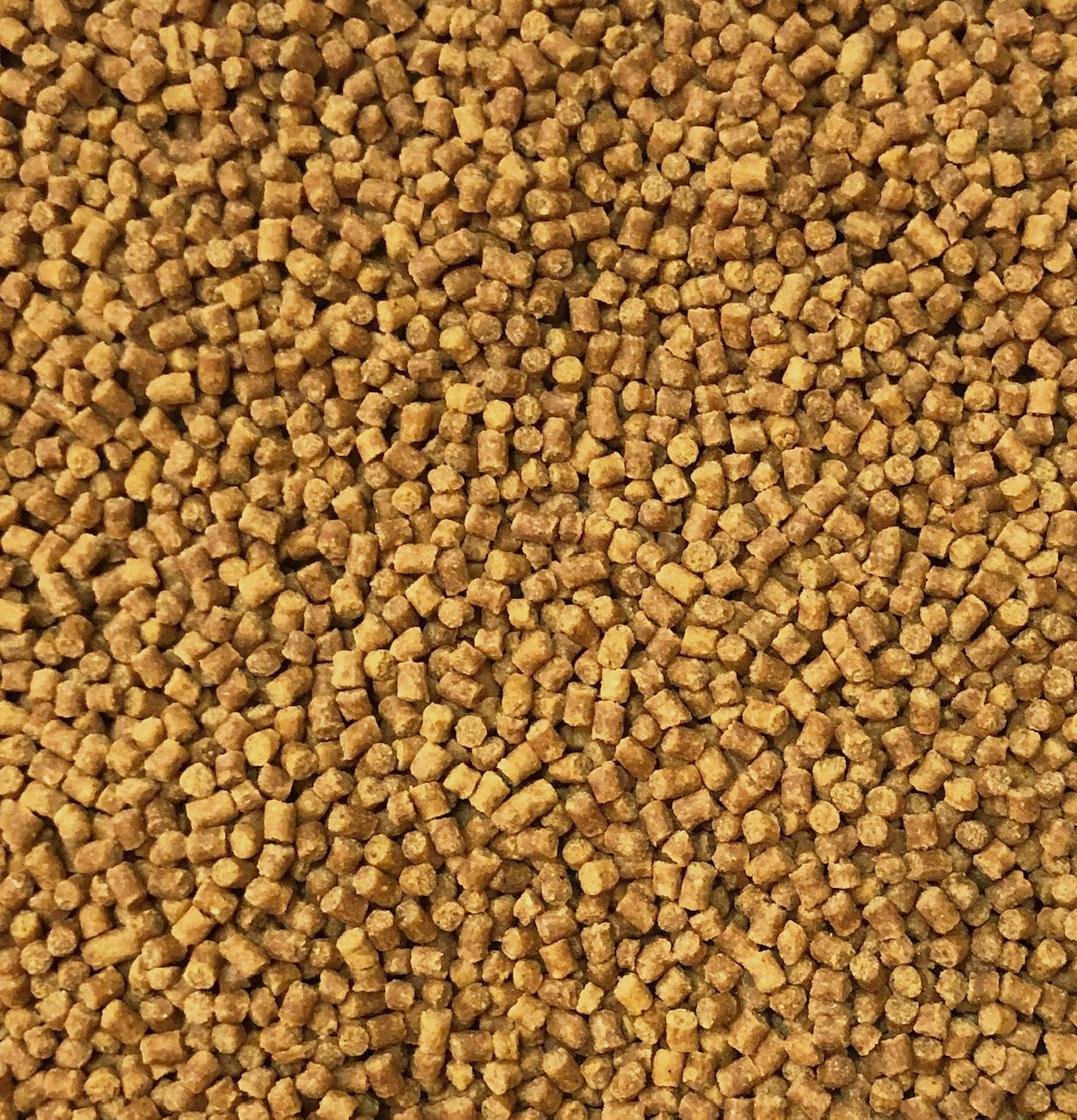 Course Particles Feed Coppens 2mm Coarse Feed Pellets High Quality Micro Fish Feed ...