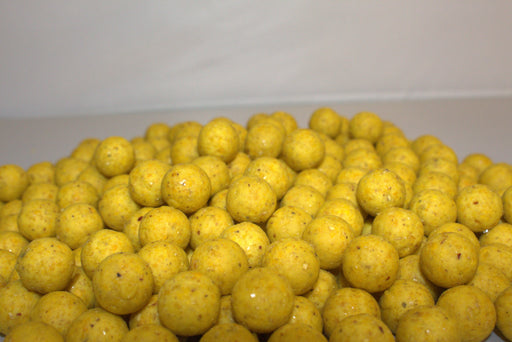 Fishingpellets.com Yellow Scopex Boilies 15mm 5kg Shelf Life 