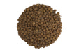Large tiger nuts for carp fishing, showing oversized nuts ideal for rigs and particle mixes.