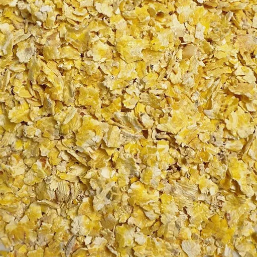 Flaked maize dry particle bait used for carp fishing, showing bright yellow flakes ready for soaking. also Hamster and rabbit pet food