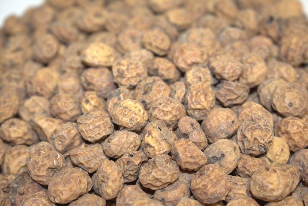 Large tiger nuts for carp fishing, showing oversized nuts ideal for rigs and particle mixes.