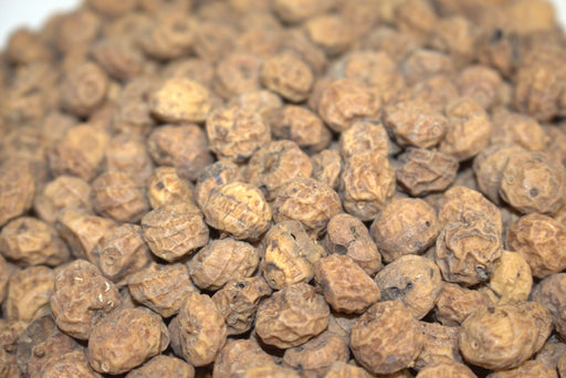 Large tiger nuts for carp fishing, showing oversized nuts ideal for rigs and particle mixes.